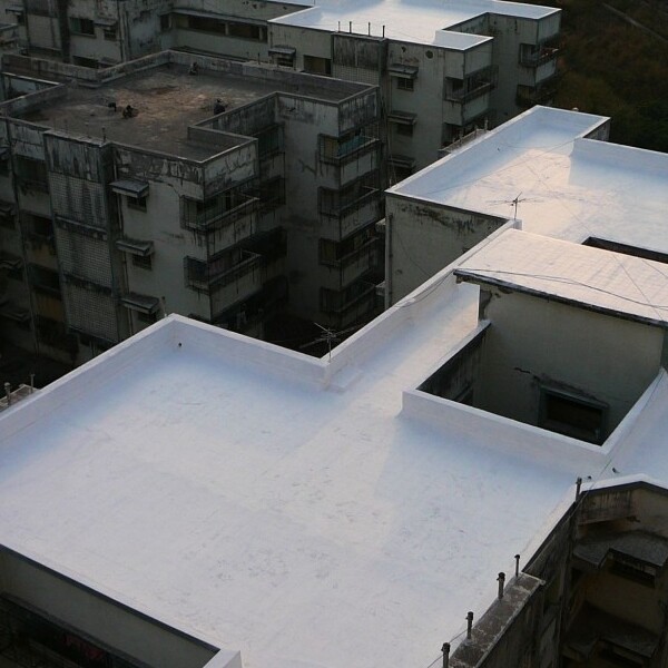 A Flat Commercial Roof